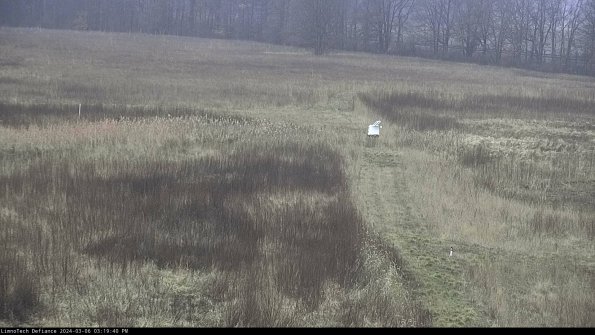 Cell 1 to 2_24-03-06_15-19-41-16