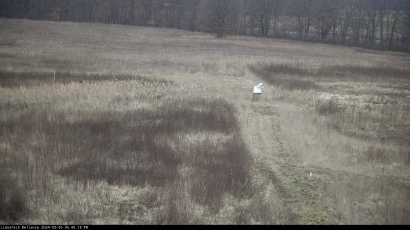 Cell 1 to 2_24-03-06_18-40-39-12