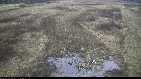 Cell 1_24-03-06_08-04-02-14