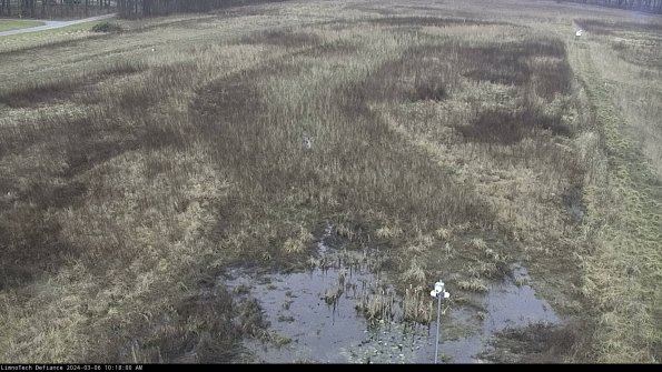 Cell 1_24-03-06_10-18-01-14