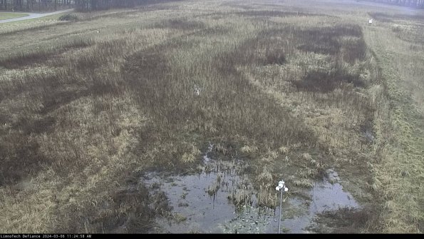 Cell 1_24-03-06_11-24-59-13