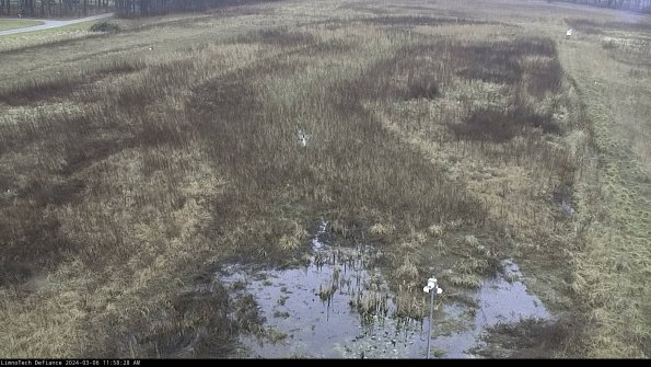 Cell 1_24-03-06_11-58-29-15