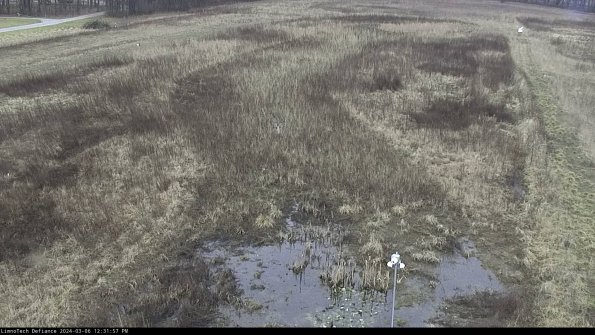 Cell 1_24-03-06_12-31-58-13