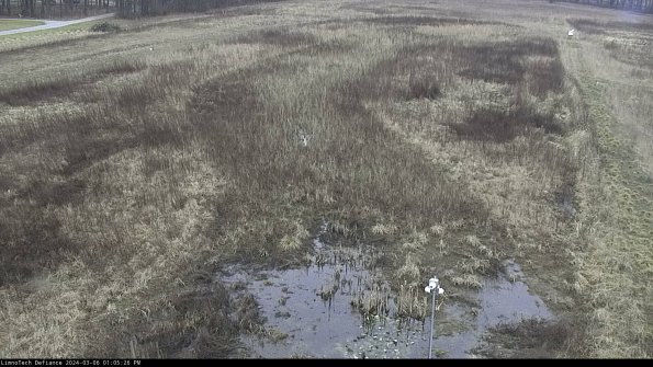 Cell 1_24-03-06_13-05-27-15