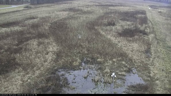 Cell 1_24-03-06_14-12-26-11