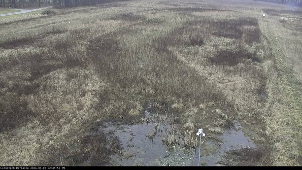 Cell 1_24-03-06_14-45-56-13