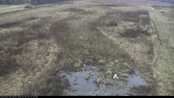 Cell 1_24-03-06_15-19-27-15