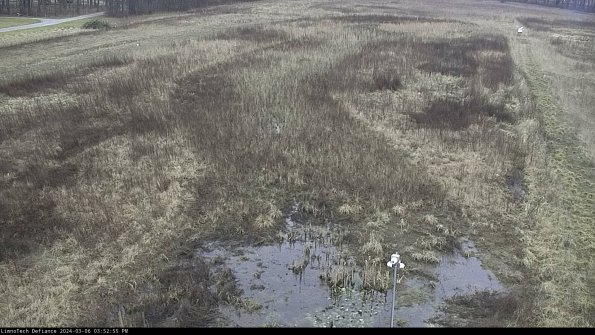 Cell 1_24-03-06_15-52-56-13