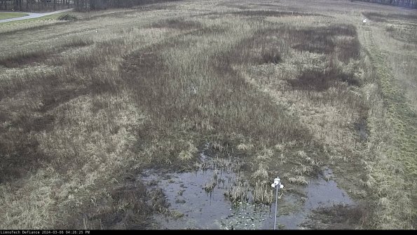 Cell 1_24-03-06_16-26-26-14