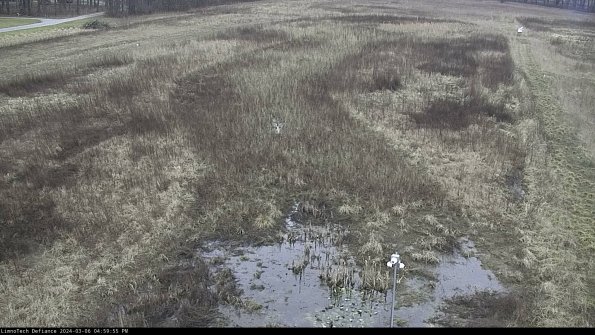 Cell 1_24-03-06_16-59-56-16