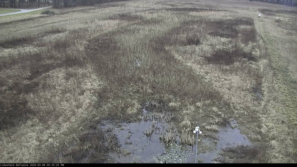 Cell 1_24-03-06_17-33-26-14