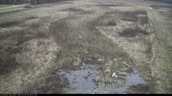 Cell 1_24-03-06_18-06-56-12