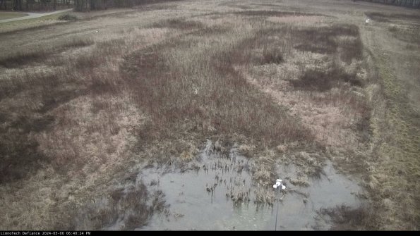 Cell 1_24-03-06_18-40-25-14