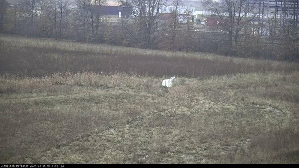 Cell 2 to 3_24-03-06_07-31-12-20