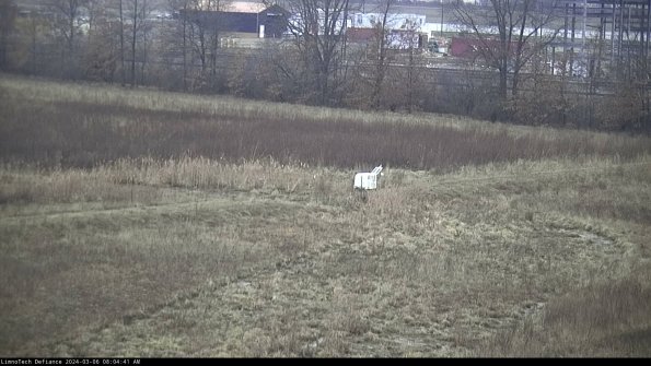 Cell 2 to 3_24-03-06_08-04-42-38