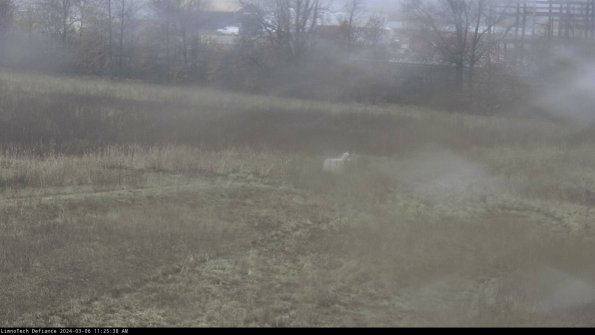 Cell 2 to 3_24-03-06_11-25-39-34