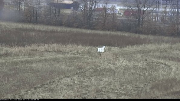 Cell 2 to 3_24-03-06_13-39-35-37