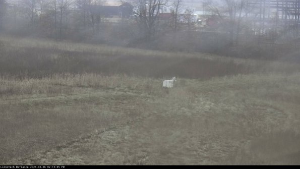 Cell 2 to 3_24-03-06_14-13-06-29