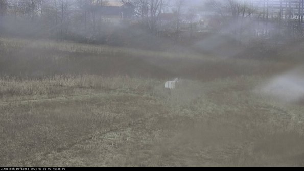 Cell 2 to 3_24-03-06_14-46-36-20