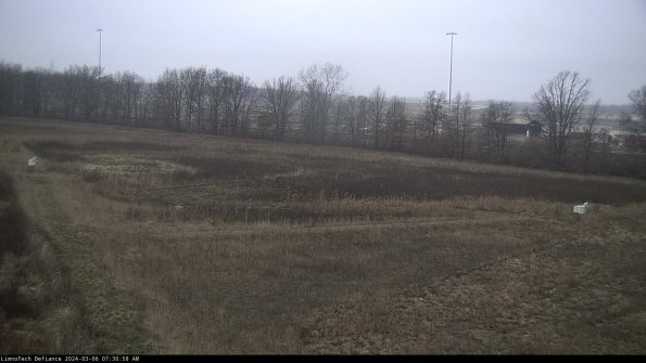 Cell 2_24-03-06_07-30-59-15