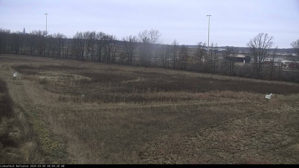 Cell 2_24-03-06_08-04-29-23