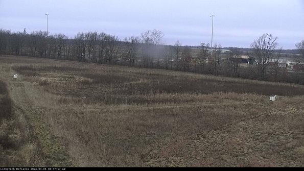 Cell 2_24-03-06_08-37-58-19