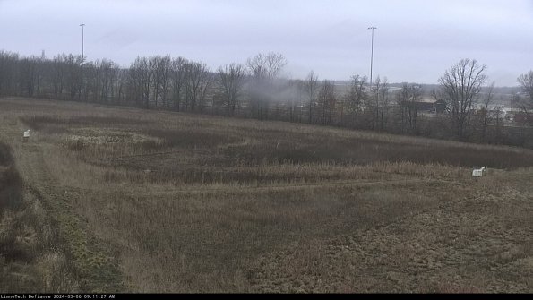 Cell 2_24-03-06_09-11-28-13