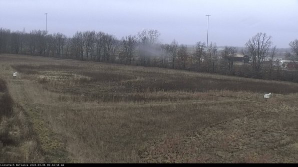 Cell 2_24-03-06_09-44-57-18