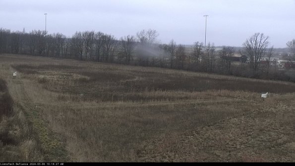 Cell 2_24-03-06_10-18-28-16