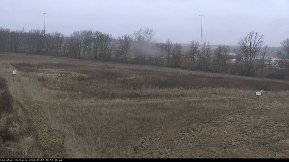 Cell 2_24-03-06_10-51-57-21