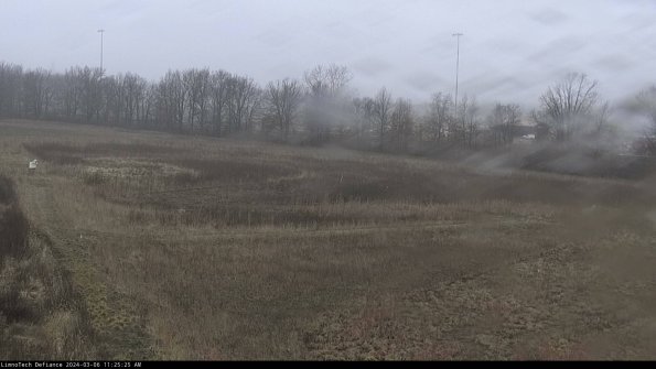 Cell 2_24-03-06_11-25-26-19