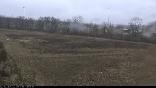 Cell 2_24-03-06_11-58-56-14