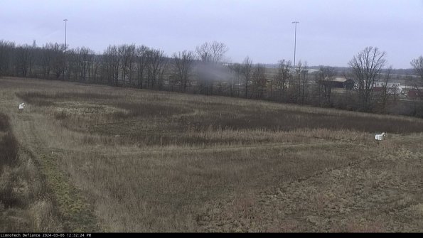 Cell 2_24-03-06_12-32-25-23