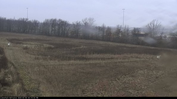 Cell 2_24-03-06_15-19-54-17