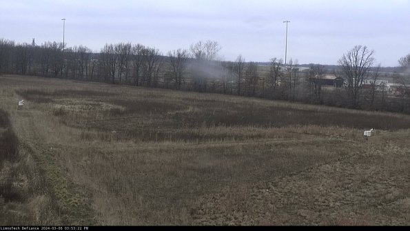 Cell 2_24-03-06_15-53-23-15