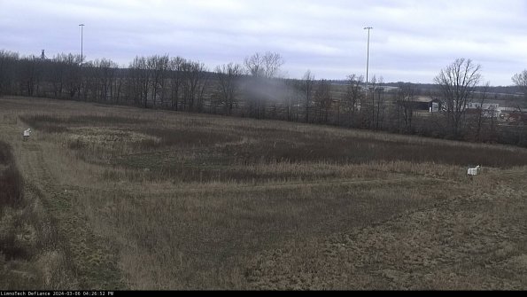 Cell 2_24-03-06_16-26-53-20