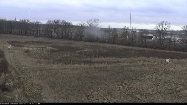 Cell 2_24-03-06_17-00-23-15