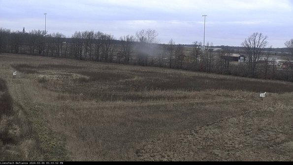 Cell 2_24-03-06_17-33-53-17