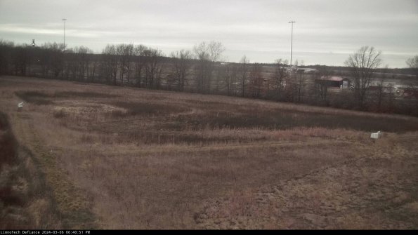 Cell 2_24-03-06_18-40-52-17