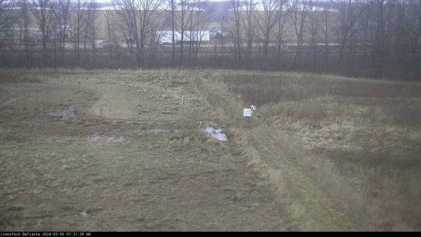 Cell 3 to 4_24-03-06_07-31-40-13