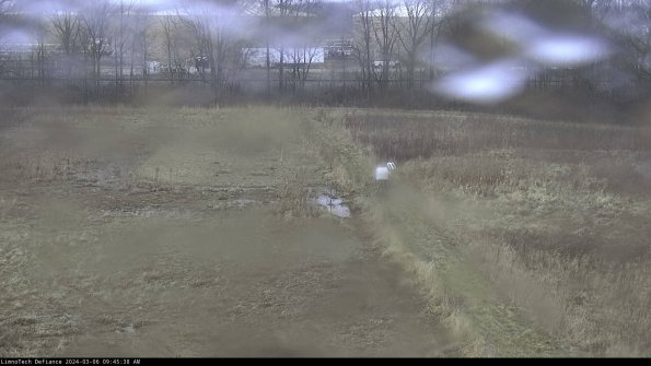 Cell 3 to 4_24-03-06_09-45-39-16