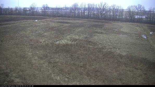 Cell 3_24-03-06_07-31-26-41