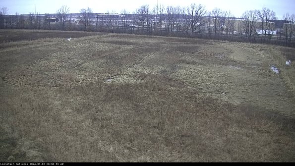 Cell 3_24-03-06_08-04-57-16