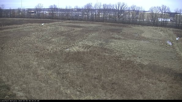 Cell 3_24-03-06_08-38-26-15