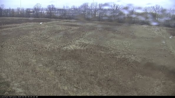 Cell 3_24-03-06_09-45-25-14