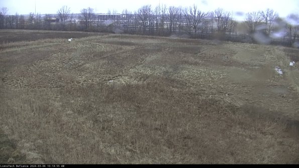 Cell 3_24-03-06_10-18-56-16