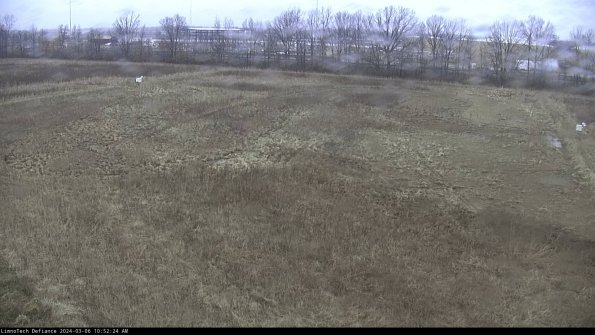 Cell 3_24-03-06_10-52-25-14