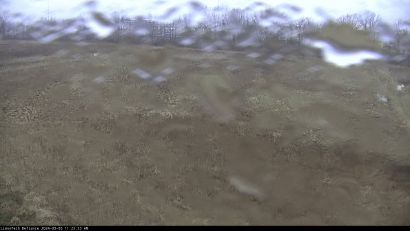 Cell 3_24-03-06_11-25-54-12