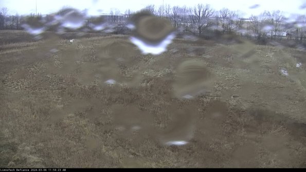 Cell 3_24-03-06_11-59-24-14