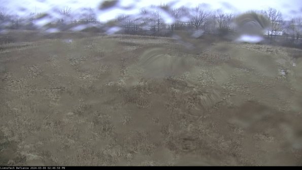 Cell 3_24-03-06_14-46-51-15